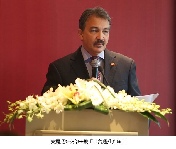 安提瓜外交部長