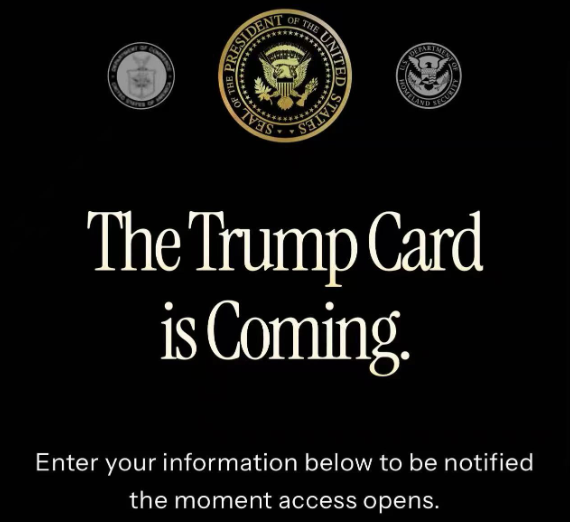 trumpcard.gov網站目前僅收集用戶的基礎信息，包括姓名、郵箱、地區及是否以個人或企業身份申請等。未提供任何實質性政策說明：無申請細則、無權益清單、無隱私條款，甚至沒有常見問題解答等。    　　現階段公布的樣式，上面寫著“UNITED STATES OF AMERICA”“5M”“THE TRUMP CARD”字樣，特朗普的個人形象也是被印在上面。醒目位置標注"500萬美元" 價碼及簽名。
